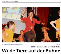 Artikel in der Rodgau-Post vom 21.09.2017